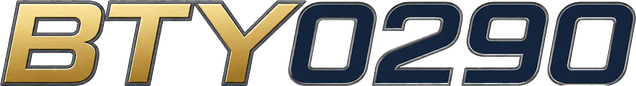 bty0290
